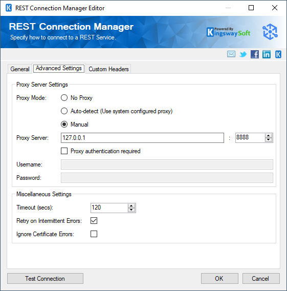 Google Dataplex Rest Connection Manager - Advanced Settings